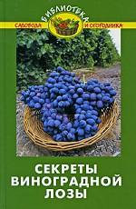 Секреты виноградной лозы