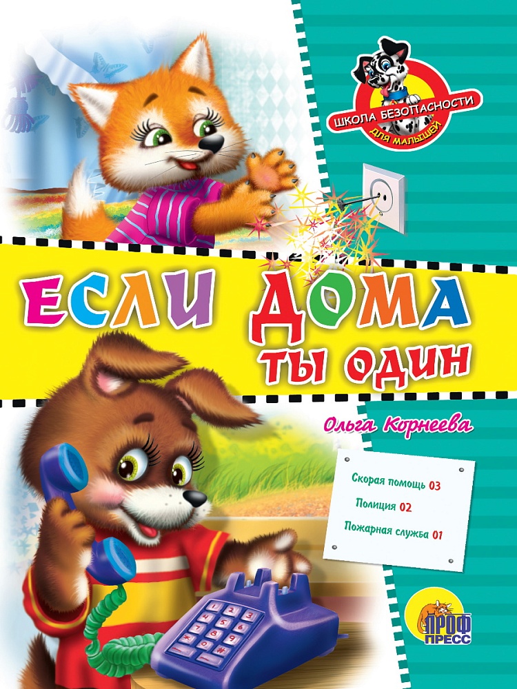 ЦК. ШКОЛА БЕЗОПАСНОСТИ. ЕСЛИ ДОМА ТЫ ОДИН