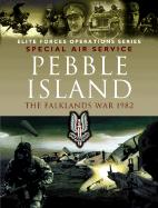 Pebble Island: Operation Prelim