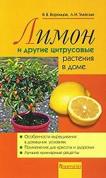 Лимоны и другие цитрусовые растения в доме