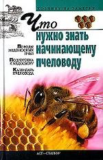 Что нужно знать начинающему пчеловоду