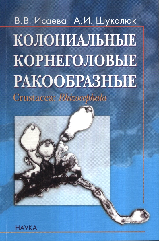 Колониальные корнеголовые ракообразные: бесполое размножение, стволовые клетки, репродуктивная стратегия