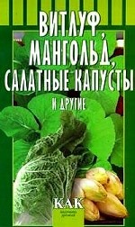 Витлуф, мангольд, салатные капусты и др. : Как получить урожай
