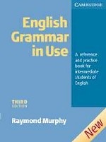 English Grammar in Use: A Reference and Practice Book for Intermediate Students