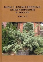 Виды и формы хвойных, культивируемые в России. Часть 1