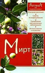 Мирт: Описание растения; Советы по выращиванию; Применение при различных заболеваниях и др