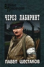 Через лабиринт: Романы / П. А. Шестаков. - (Военные приключения)