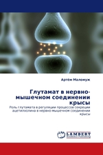 Глутамат в нервно-мышечном соединении крысы. Роль глутамата в регуляции процессов секреции ацетилхолина в нервно-мышечном соединении крысы