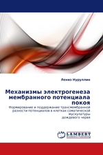 Механизмы электрогенеза мембранного потенциала покоя. Формирование и поддержание трансмембранной разности потенциалов в клетках соматической мускулатуры дождевого червя