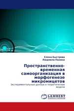 Пространственно-временная самоорганизация в морфогенезе микромицетов. Экспериментальные данные и теоретические модели