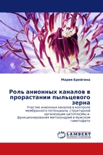 Роль анионных каналов в прорастании пыльцевого зерна. Участие анионных каналов в контроле мембранного потенциала, структурной организации цитоплазмы и функционирования митохондрий в мужском гаметофите