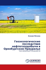 Геоэкологические последствия нефтегазодобычи в Оренбургском Приуралье. Трансформация ландшафтов