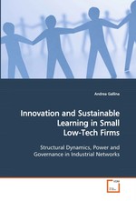 Innovation and Sustainable Learning in Small Low-Tech Firms. Structural Dynamics, Power and Governance in Industrial Networks