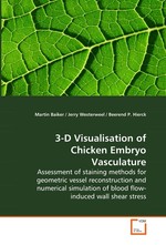3-D Visualisation of Chicken Embryo Vasculature. Assessment of staining methods for geometric vessel reconstruction and numerical simulation of blood flow-induced wall shear stress