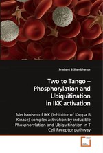 Two to Tango – Phosphorylation and Ubiquitination in  IKK activation. Mechanism of IKK (Inhibitor of Kappa B Kinase)  complex activation by inducible Phosphorylation and  Ubiquitination in T Cell Receptor pathway