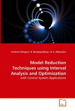 Model Reduction Techniques using Interval Analysis and Optimization. with Control System Applications