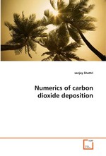 Numerics of carbon dioxide deposition