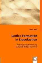 Lattice Formation in Liquefaction. A Study Using Numerically Evaluated Particle Dynamics
