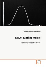 LIBOR Market Model. Volatility Specifications