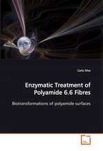 Enzymatic Treatment of Polyamide 6.6 Fibres. Biotransformations of polyamide surfaces