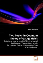 Two Topics in Quantum Theory of Gauge Fields. Rotational Invariance of QCD in the Spatial Axial Gauge.  Vacuum Diagrams in Background Field and Heisenberg-Euler Effective Action