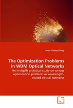 The Optimization Problems in WDM Optical Networks. An in-depth analytical study on various optimization problems in wavelength-routed optical networks