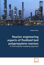 Reactor engineering aspects of fluidized bed polypropylene reactors. A multi-layered modeling approach