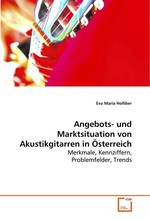 Angebots- und Marktsituation von Akustikgitarren in Oesterreich. Merkmale, Kennziffern, Problemfelder, Trends