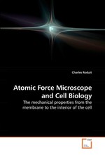 Atomic Force Microscope and Cell Biology. The mechanical properties from the membrane to the interior of the cell