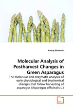 Molecular Analysis of Postharvest Changes in Green Asparagus. The molecular and enzymatic analyses of early physiological and biochemical changes that follow harvesting of asparagus (Asparagus officinalis L.)