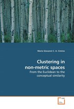 Clustering in non-metric spaces. From the Euclidean to the conceptual similarity