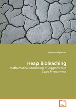 Heap Bioleaching. Mathematical Modelling of Agglomerate Scale Phenomena