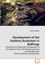 Development of the Auditory Brainstem in Bullfrogs. Structural and Molecular Histogenesis of the Superior Olive and Lateral Lemniscus and Parallels with Human Auditory Development