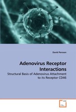 Adenovirus Receptor Interactions. Structural Basis of Adenovirus Attachment to its Receptor CD46