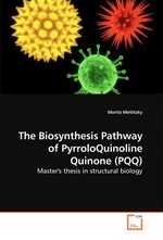 The Biosynthesis Pathway of PyrroloQuinoline Quinone (PQQ). Masters thesis in structural biology