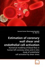 Estimation of coronary wall shear and endothelial cell activation. Numerical modeling of blood flow in human left coronary artery and in vitro study of endothelial cell activation by shear stress