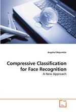 Compressive Classification for Face Recognition. A New Approach