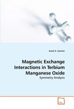 Magnetic Exchange Interactions in Terbium Manganese Oxide. Symmetry Analysis