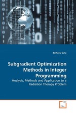 Subgradient Optimization Methods in Integer Programming. Analysis, Methods and Application to a Radiation Therapy Problem