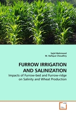 FURROW IRRIGATION AND SALINIZATION. Impacts of Furrow-bed and Furrow-ridge on Salinity and Wheat Production