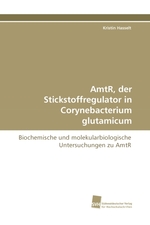 AmtR, der Stickstoffregulator in Corynebacterium glutamicum. Biochemische und molekularbiologische Untersuchungen zu AmtR