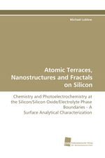 Atomic Terraces, Nanostructures and Fractals on Silicon. Chemistry and Photoelectrochemistry at the Silicon/Silicon Oxide/Electrolyte Phase Boundaries - A Surface Analytical Characterization