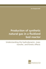 Production of synthetic natural gas in a fluidized bed reactor. Understanding the hydrodynamic, mass transfer, and kinetic effects