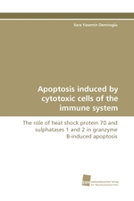 Apoptosis induced by cytotoxic cells of the immune system. The role of heat shock protein 70 and sulphatases 1 and 2 in granzyme B-induced apoptosis