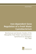 Iron-dependent Gene Regulation of a Fresh Water Cyanobacterium. Biochemical and Genetic Studies of the Mesophilic Fresh Water Cyanobacterium Synechococcus elongatus PCC 7942