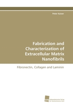 Fabrication and Characterization of Extracellular Matrix Nanofibrils. Fibronectin, Collagen and Laminin