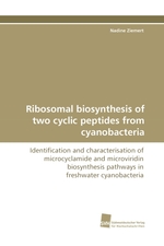 Ribosomal biosynthesis of two cyclic peptides from cyanobacteria. Identification and characterisation of microcyclamide and microviridin biosynthesis pathways in freshwater cyanobacteria