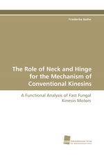 The Role of Neck and Hinge for the Mechanism of Conventional Kinesins. A Functional Analysis of Fast Fungal Kinesin Motors