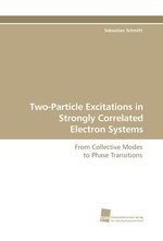 Two-Particle Excitations in Strongly Correlated Electron Systems. From Collective Modes to Phase Transitions