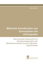 Bilaterale Koordination von Extremitaeten bei Arthropoden. Kommissurale Interneurone im Mesothorakalganglion der Wanderheuschrecke Locusta migratoria migratorioides